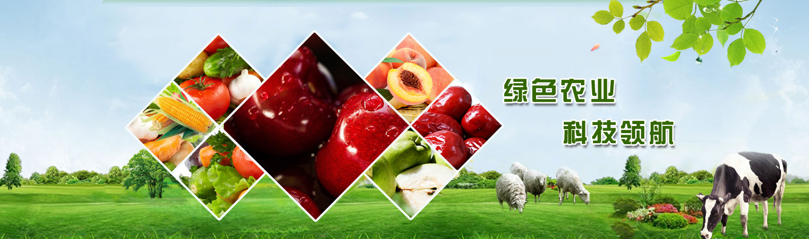 �τ��a�I�r�I